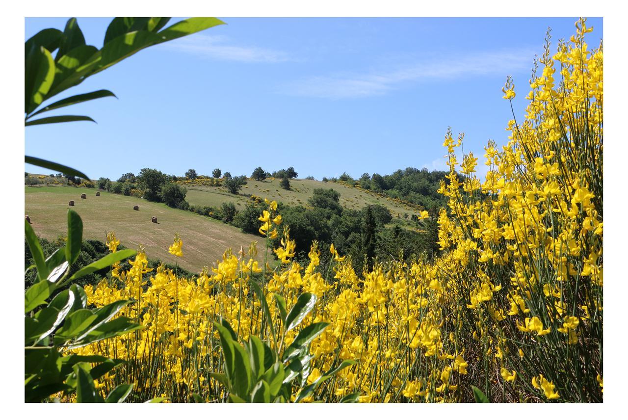 Le Querce Di Campolungo Bed & Breakfast San Giustino Bagian luar foto